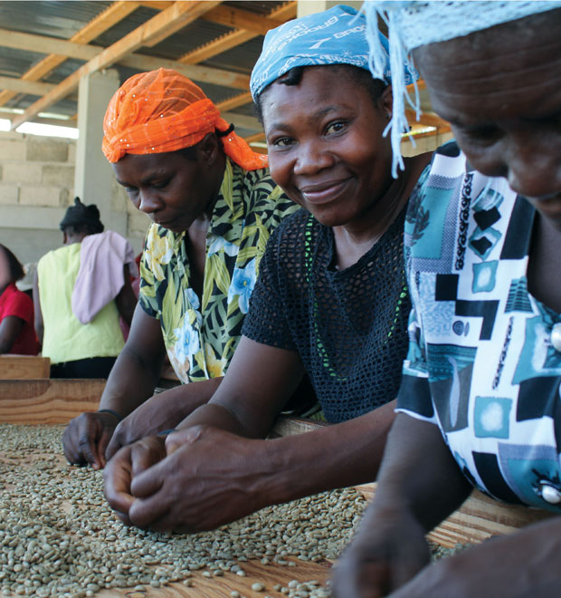 Haitian Premium Coffee -- Monthly Subscription